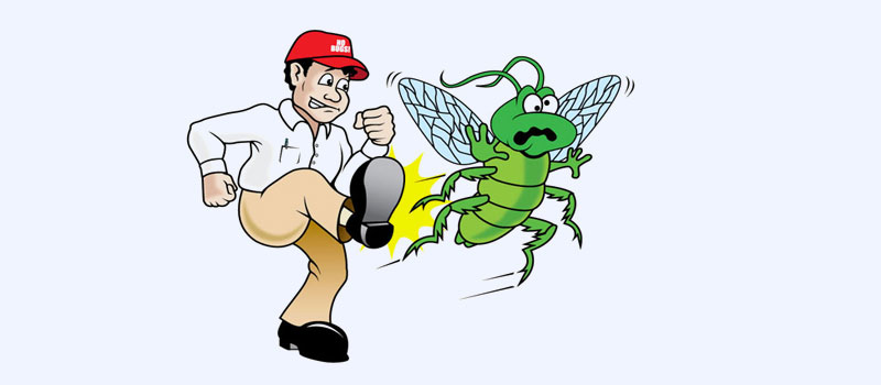 General House Hold Pest Management